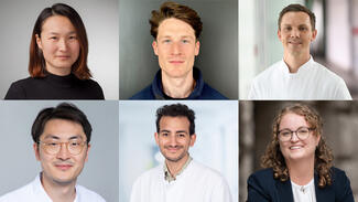 Sechs Lebenswissenschaftlerinnen und Lebenswissenschaftler, die von der Corona-Stiftung gefördert werden