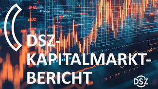 DSZ-Kapitalmarktbericht